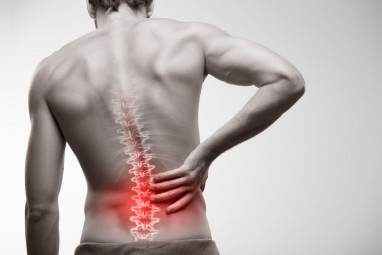 priemonės raumenų skausmas ir sąnarių nugaros skausmas vėžiagyvių