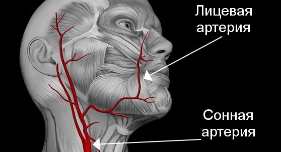 skausmas viršutinėje žandikaulio viršų artritas alkūnė populiariausi procedūros