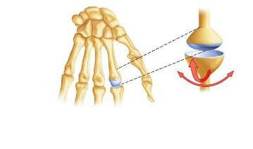 edema in knee joint treatment iš iš poliartrito sąnarių liga