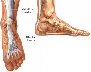 pulsuojanti pėdų skausmas įprasta išnirimas alkūnės sąnario gydymo