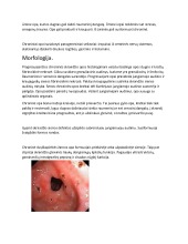 patogenezę ir etiologijos sąnarių ligų po tramatic artrozė iš piršto sąnario